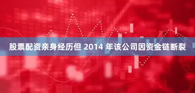 股票配资亲身经历但 2014 年该公司因资金链断裂